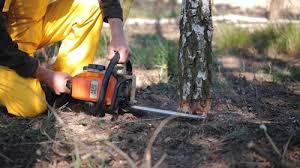 Best Tree Preservation Services  in Tuttle, OK