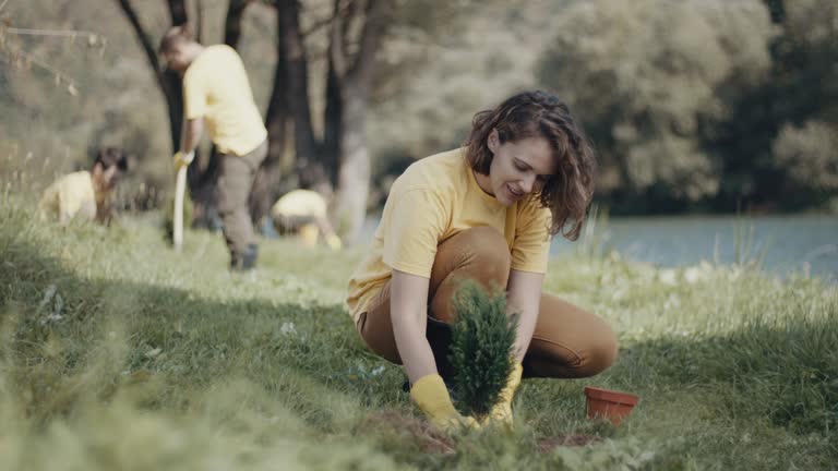 Best Lawn Disease Treatment  in Tuttle, OK